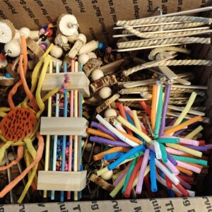 Parrot Place Pack Small