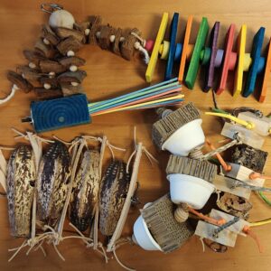 Parrot Place Pack Medium